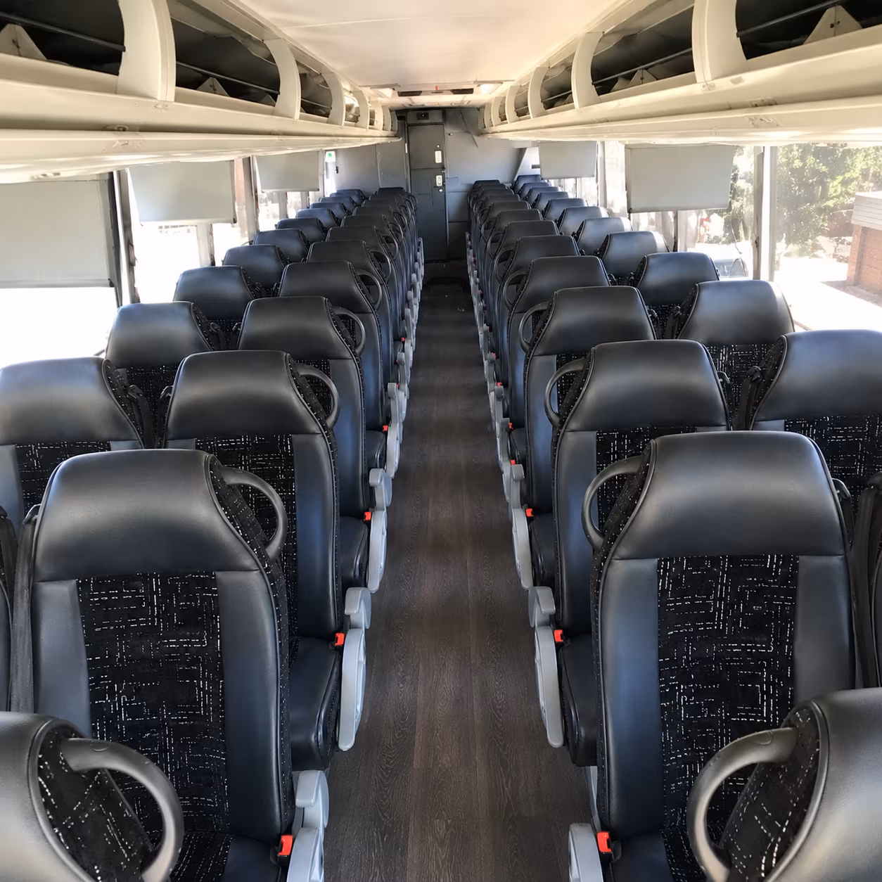 safari park field trips just got a whole lot easier to plan