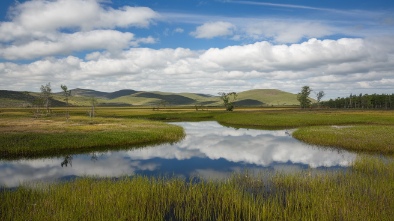 blue sky ecological reserve