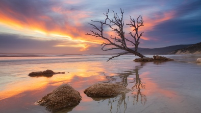 carlsbad lagoon