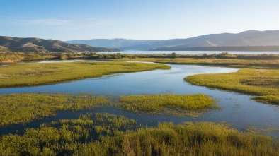 san elijo lagoon ecological reserve and conservancy