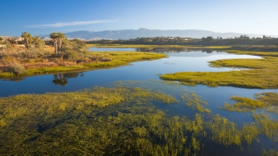 san elijo lagoon ecological reserve